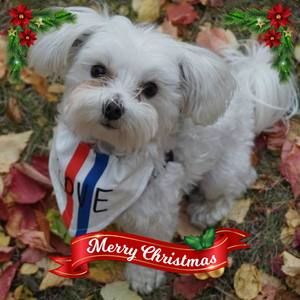 Meet your Posher, Jeannine